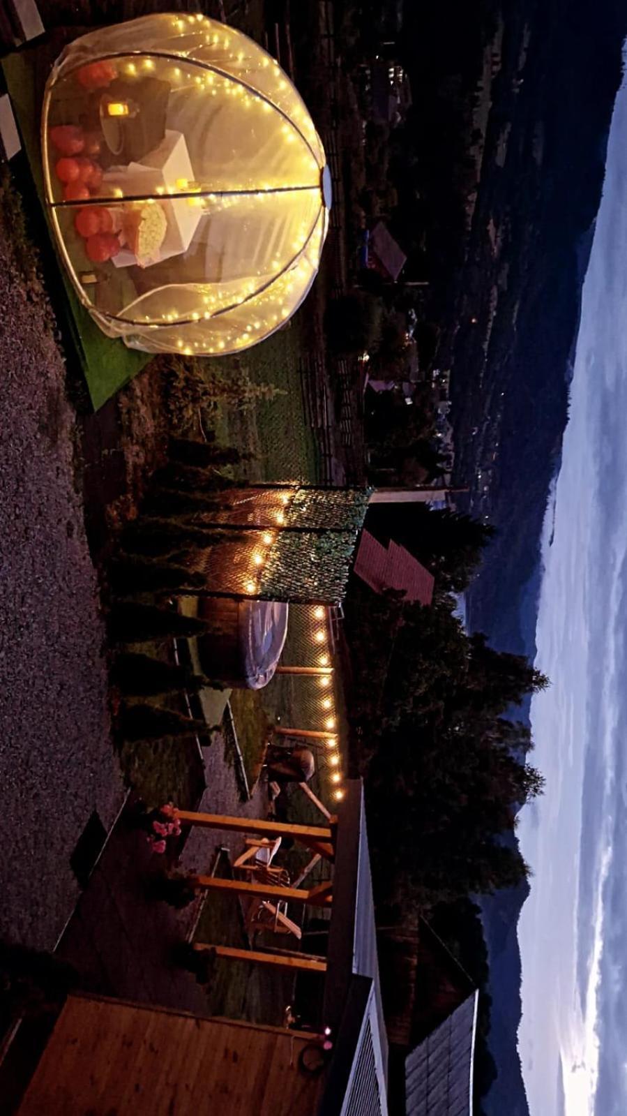 Tiny House Colibita Villa Dış mekan fotoğraf